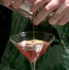 Dr. Ueno's Wild Thing